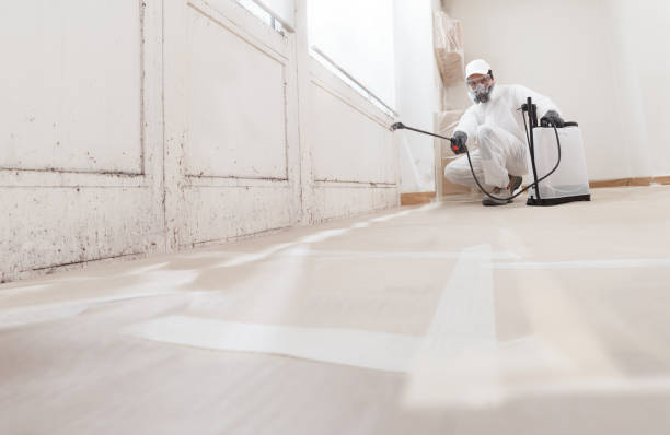 24/7 Emergency Mold Cleanup experts in Peabody, MA